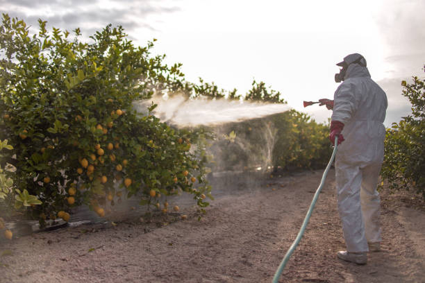 Professional Pest Control in Ozark, AR