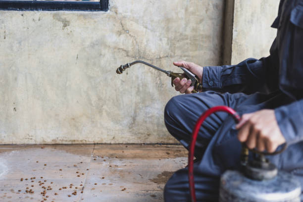 Best Termite Control Services  in Ozk, AR